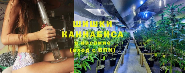 мдпв Бронницы