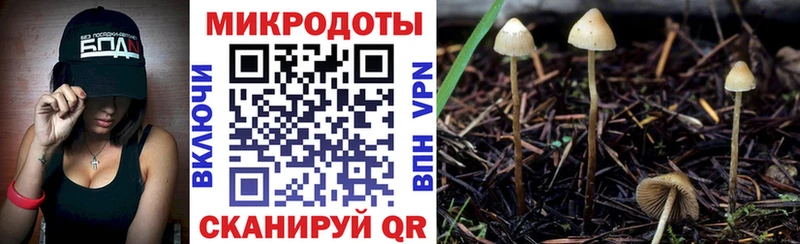 Псилоцибиновые грибы ЛСД  Купить где  Осинники 